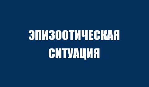 Эпизоотическая ситуация