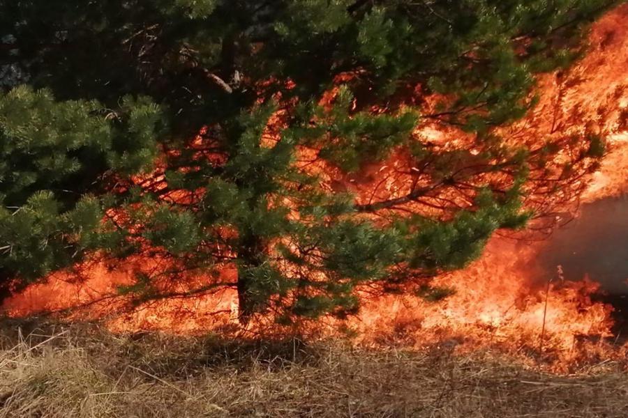 Напоминаем, что в Чувашии сохраняется IV класс пожароопасности!