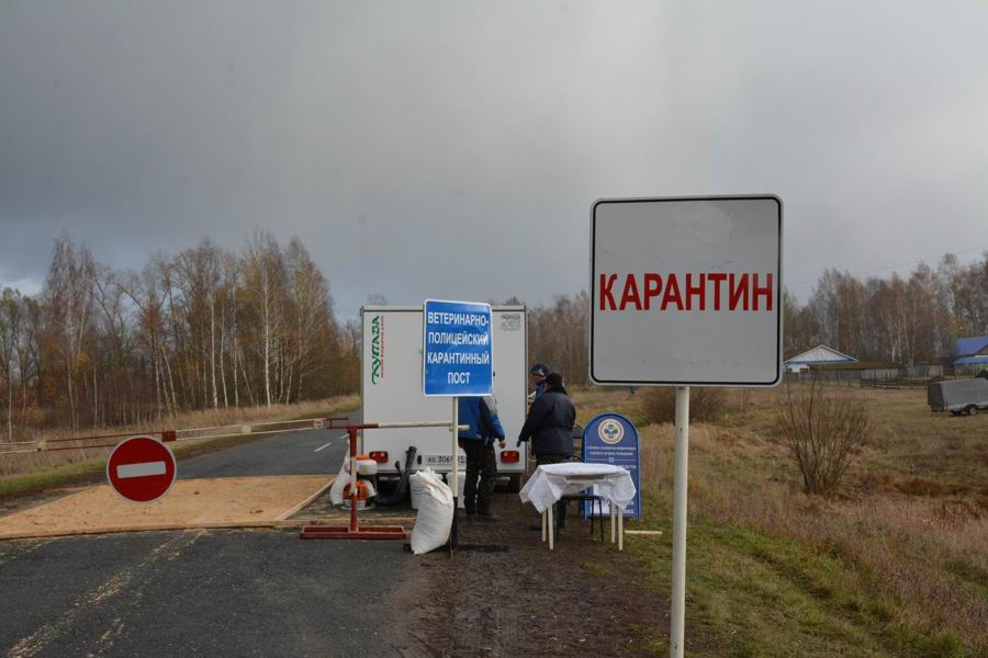 Командно-штабные учения. Смотр практических мероприятий в деревне Мамалаево