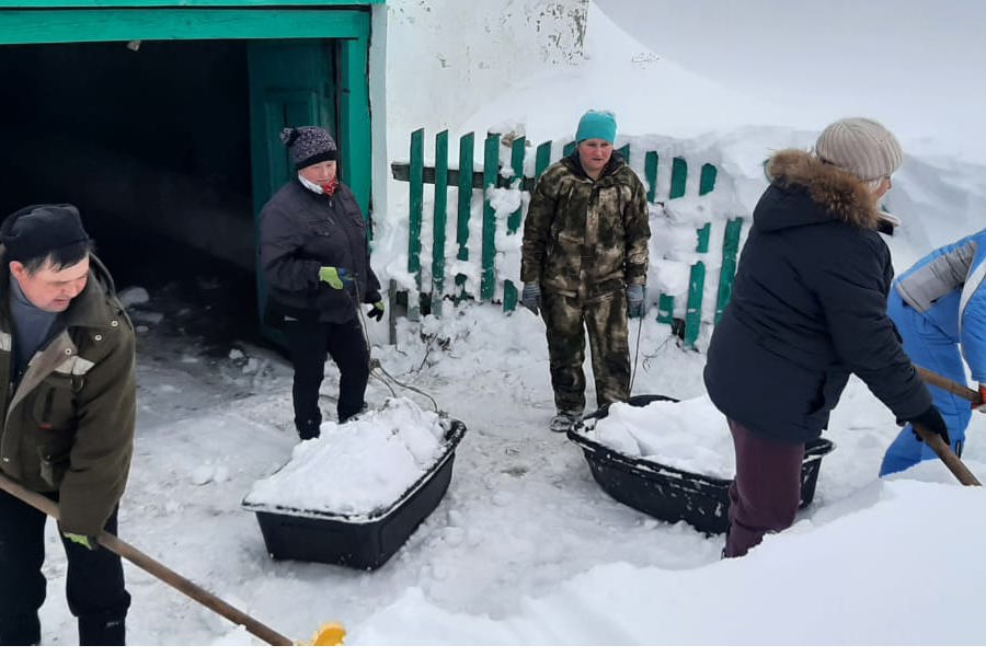 Подготовка к лесокультурному сезону 2024 (07.02.2024)