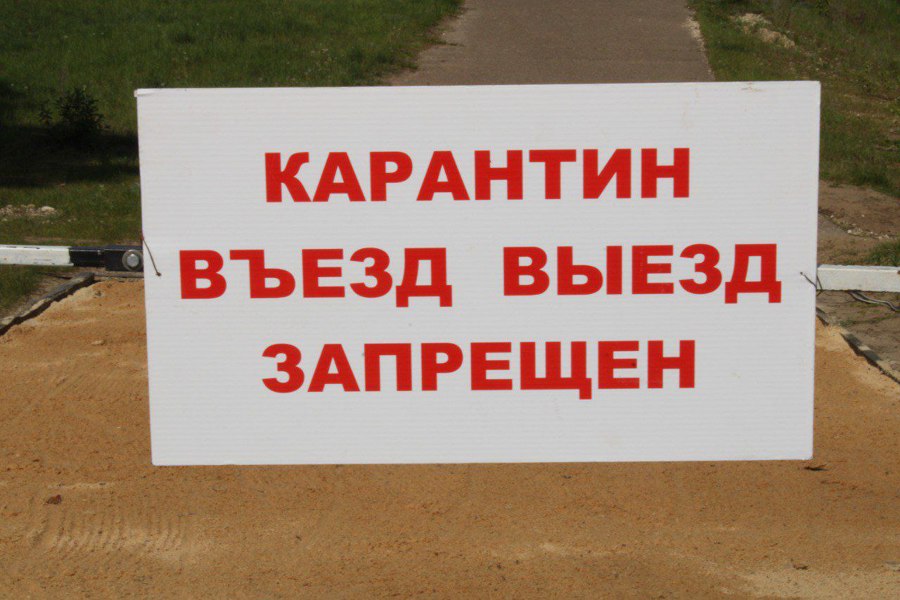 Выявлен вирус АЧС в Чувашской республике