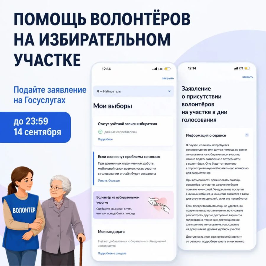 Помощь волонтеров на избирательном участке
