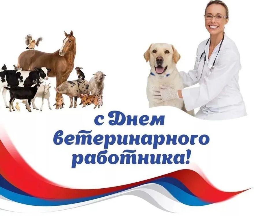 Поздравление главы Алатырского муниципального округа Н.И. Шпилевой с Днём ветеринарного работника