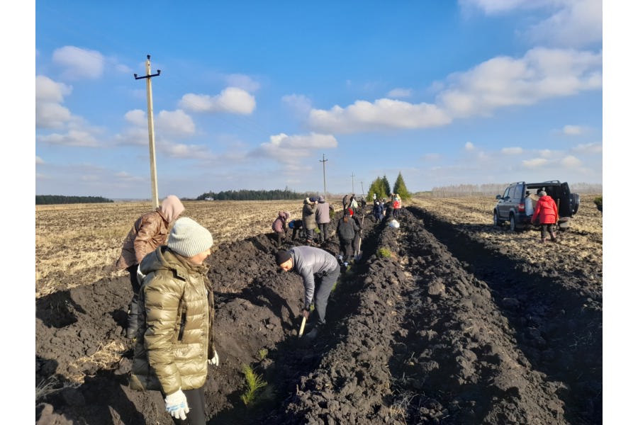 В рамках Всероссийской акции «Сохраним лес» и осеннего санитарно-экологического месячника по посадке зеленых насаждений в Большебуяновском территориальном отделе прошел субботник.