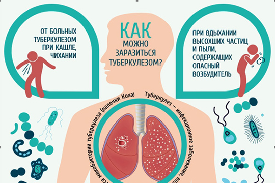 Профилактика туберкулеза, особенности проявления болезни, пути передачи и меры борьбы с этой инфекцией