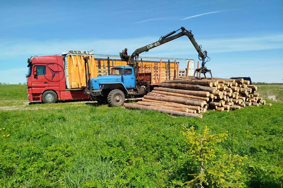 В помощь нашим бойцам: Шумерлинское лесничество отправило на СВО 20 кубов хвойной древесины