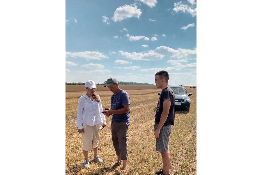 Начальник отдела сельского хозяйства Анастасия Васильева оценила ход уборочной кампании