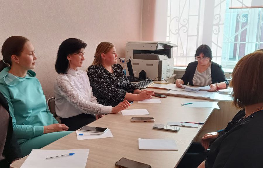 Очередное заседание Шемуршинской территориальной избирательной комиссии