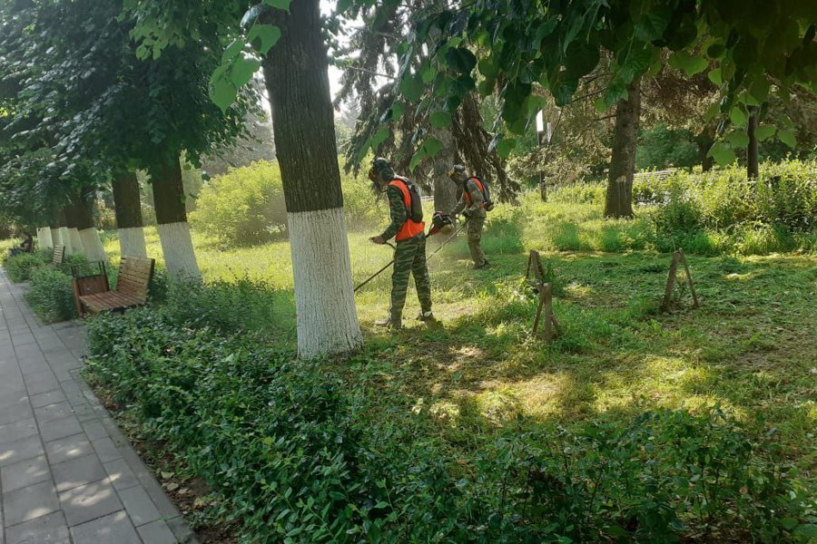 В Чебоксарах продолжается покос травы