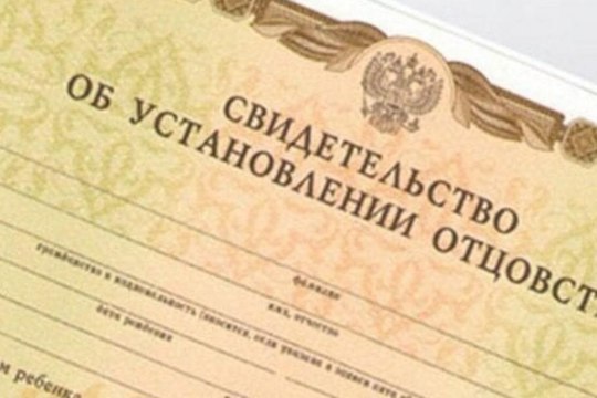 Упрощение установления отцовства  для участников специальной военной операции