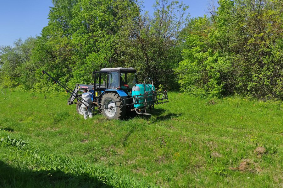 На автомобильной дороге Чебоксары – Сурское продолжается вырубка кустарников и мелколесья