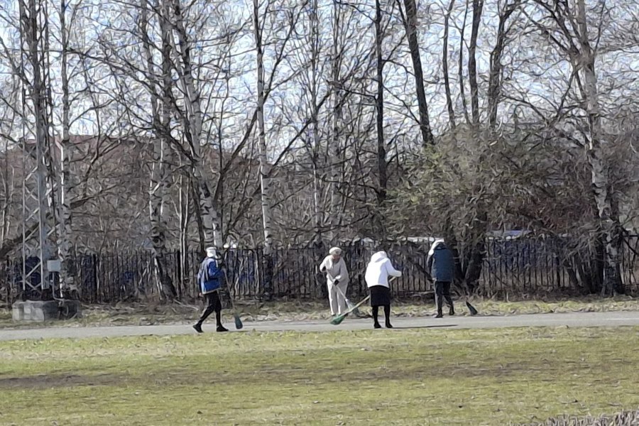 В Шемуршинском округе стартовал традиционный экологический месячник по очистке и благоустройству.