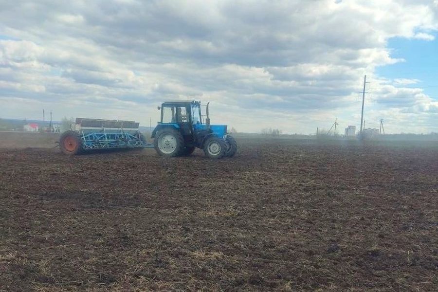 Весенняя посевная кампания в Алатырском муниципальном округе набирает темпы