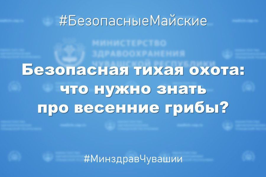 Главный внештатный токсиколог Минздрава Чувашии Надежда Смелова: «В первых весенних грибах содержится сильный яд»