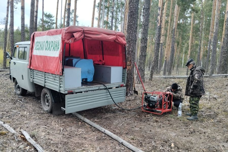 В Шемуршинском лесничестве ликвидирован лесной пожар