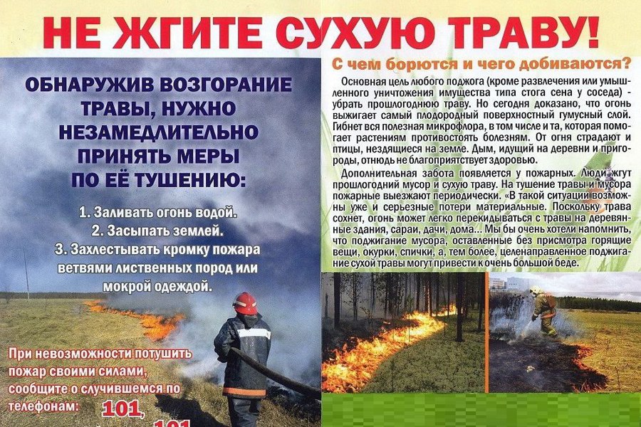 Не жгите сухую траву
