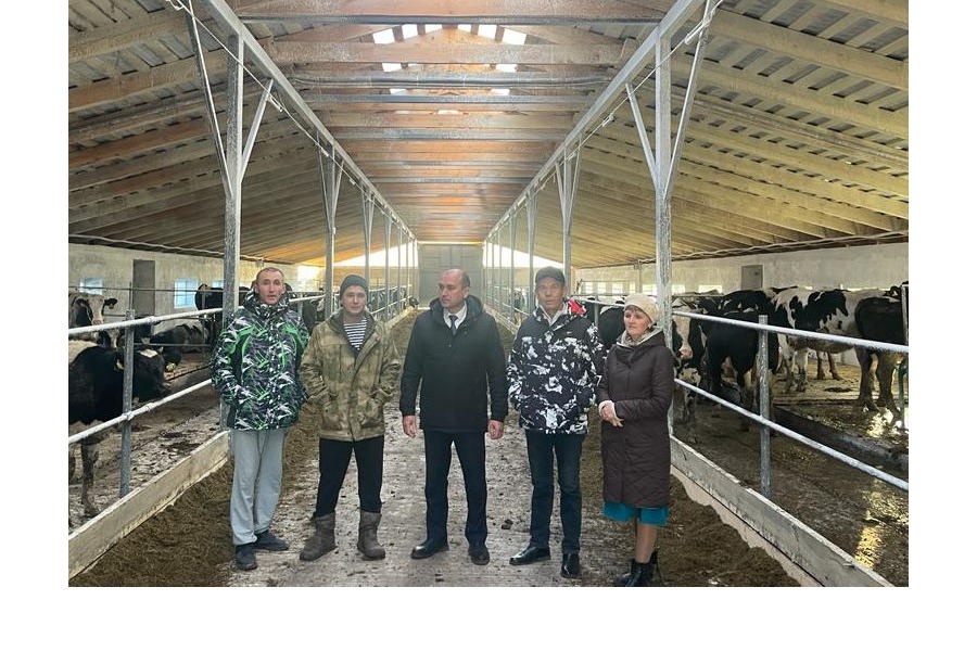 КФХ Григорьева А.В. запустило новое помещение для откорма и выращивания крупного рогатого скота