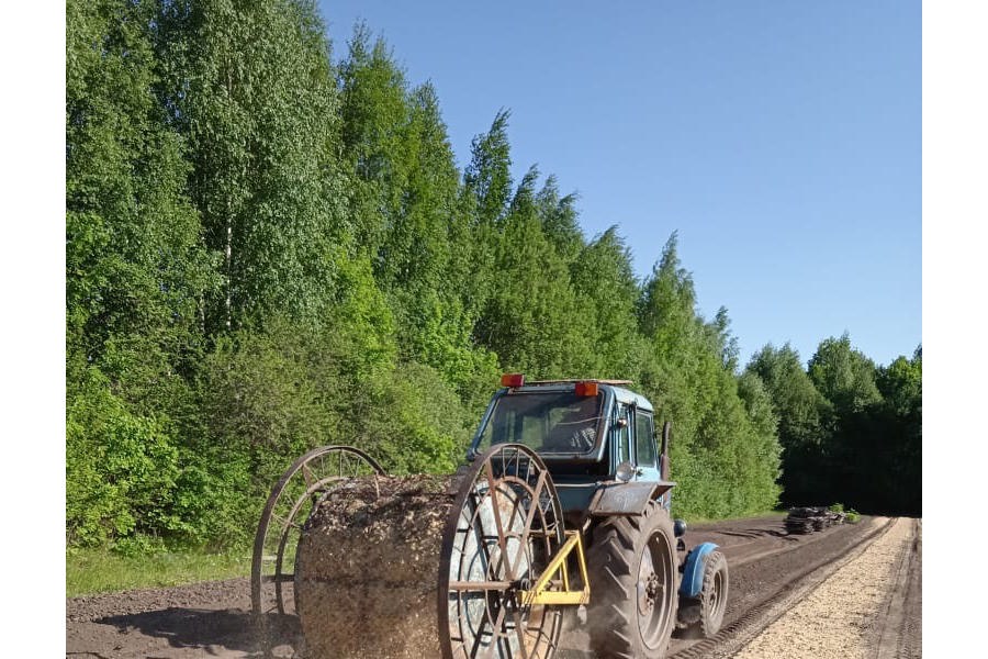 Посев семян в Опытном лесничестве (18.05.2024)