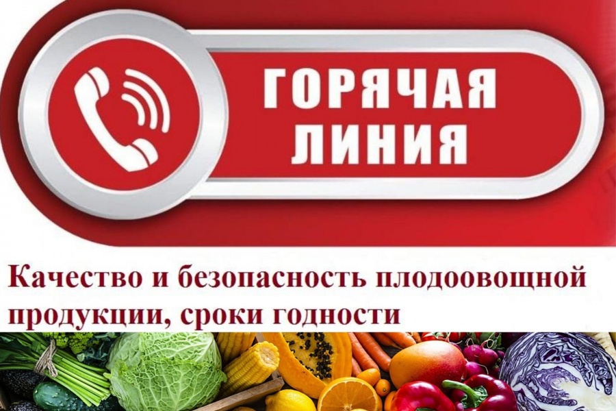 Пройдет «горячая линия» по качеству и безопасности плодоовощной продукции и срокам годности с 1 по 12 августа 2023 года