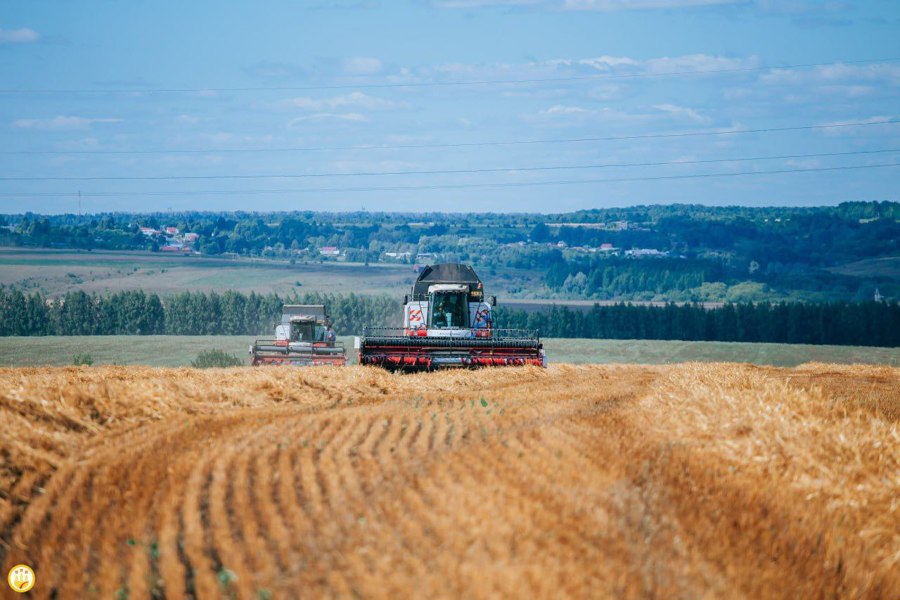 Правительство РФ направит ещё 5 млрд рублей на предоставление льготных кредитов аграриям
