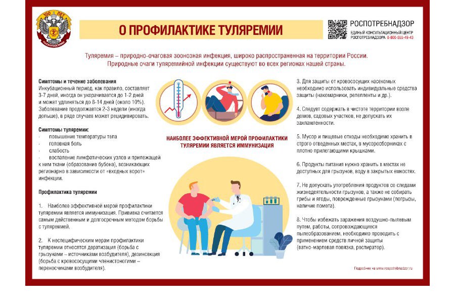 Здравоохранение: Профилактика туляремии