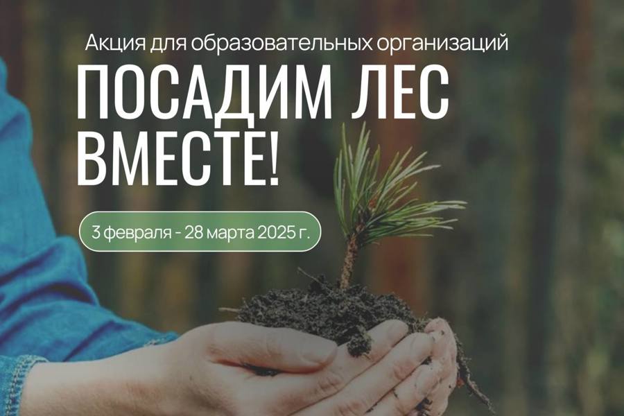Сдай макулатуру – посади дерево: стартовала Всероссийская акция по сбору макулатуры «Посадим лес вместе»