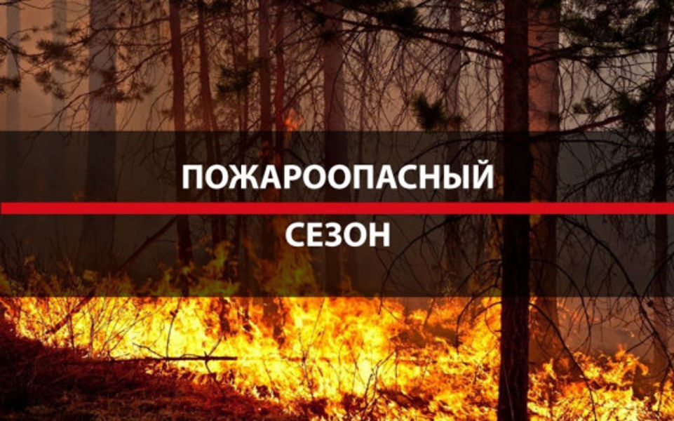 Пожароопасный сезон в разгаре: ситуация в лесах Чувашии и Вурнарского лесничества
