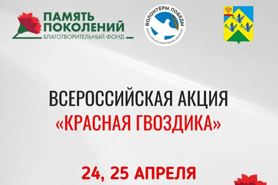 Продолжается Всероссийская акция «Красная гвоздика»