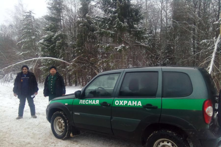 В Чувашии стартует усиленное патрулирование на лесных участках