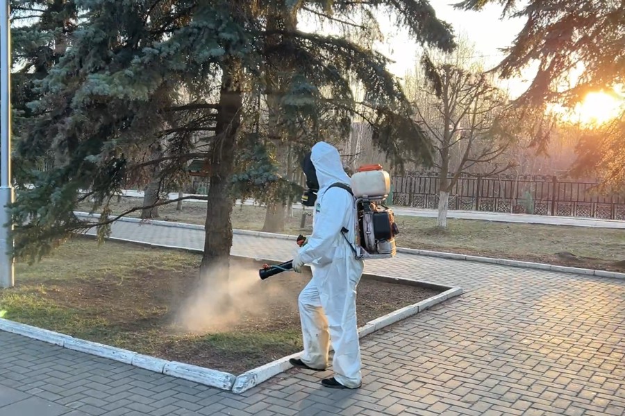 В Чебоксарах проводится обработка территорий от клещей и комаров