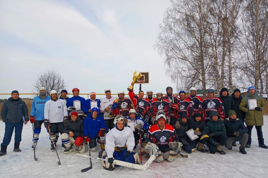 Хоккейный турнир 23.02.2025