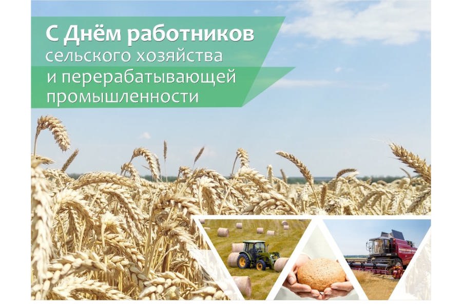 Глава Порецкого муниципального округа Евгений Лебедев поздравляет с Днем работника сельского хозяйства и перерабатывающей промышленности