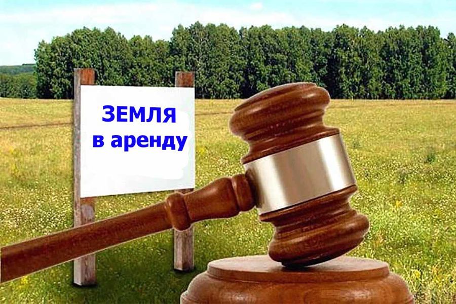 Администрация Козловского муниципального округа проводит торги