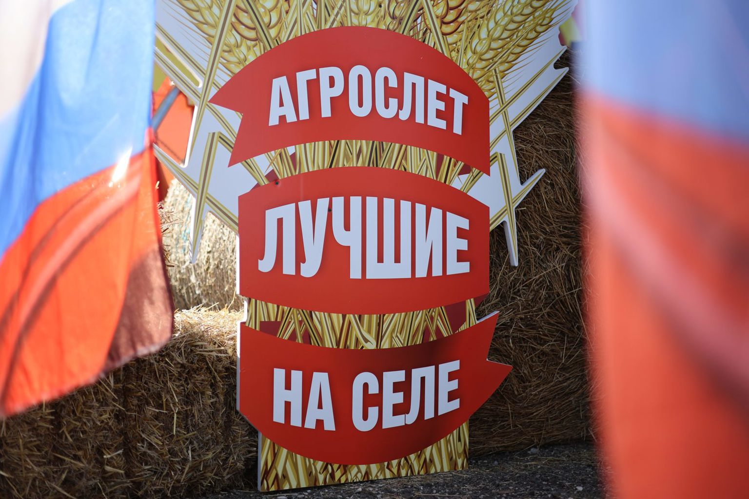 Превью страницы