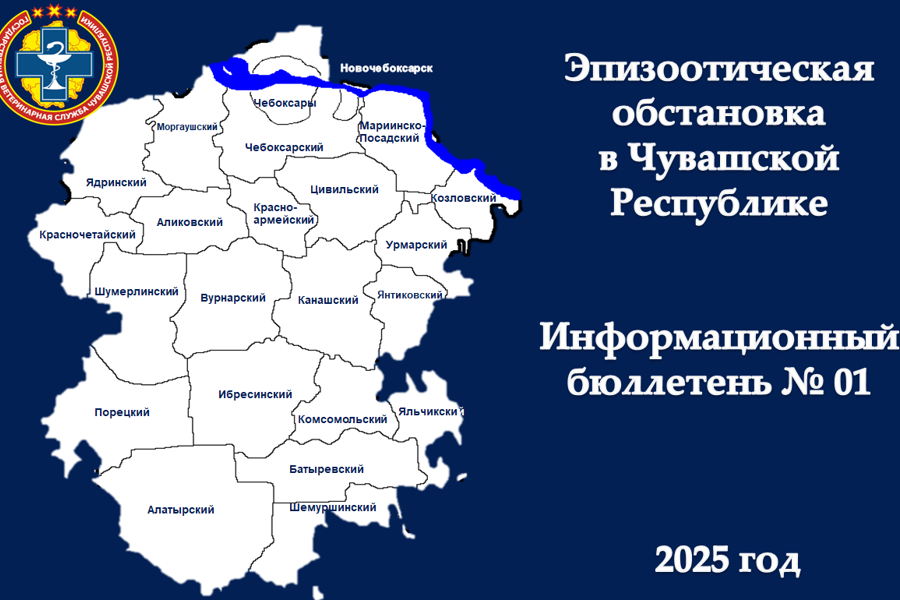 Информационный бюллетень № 1