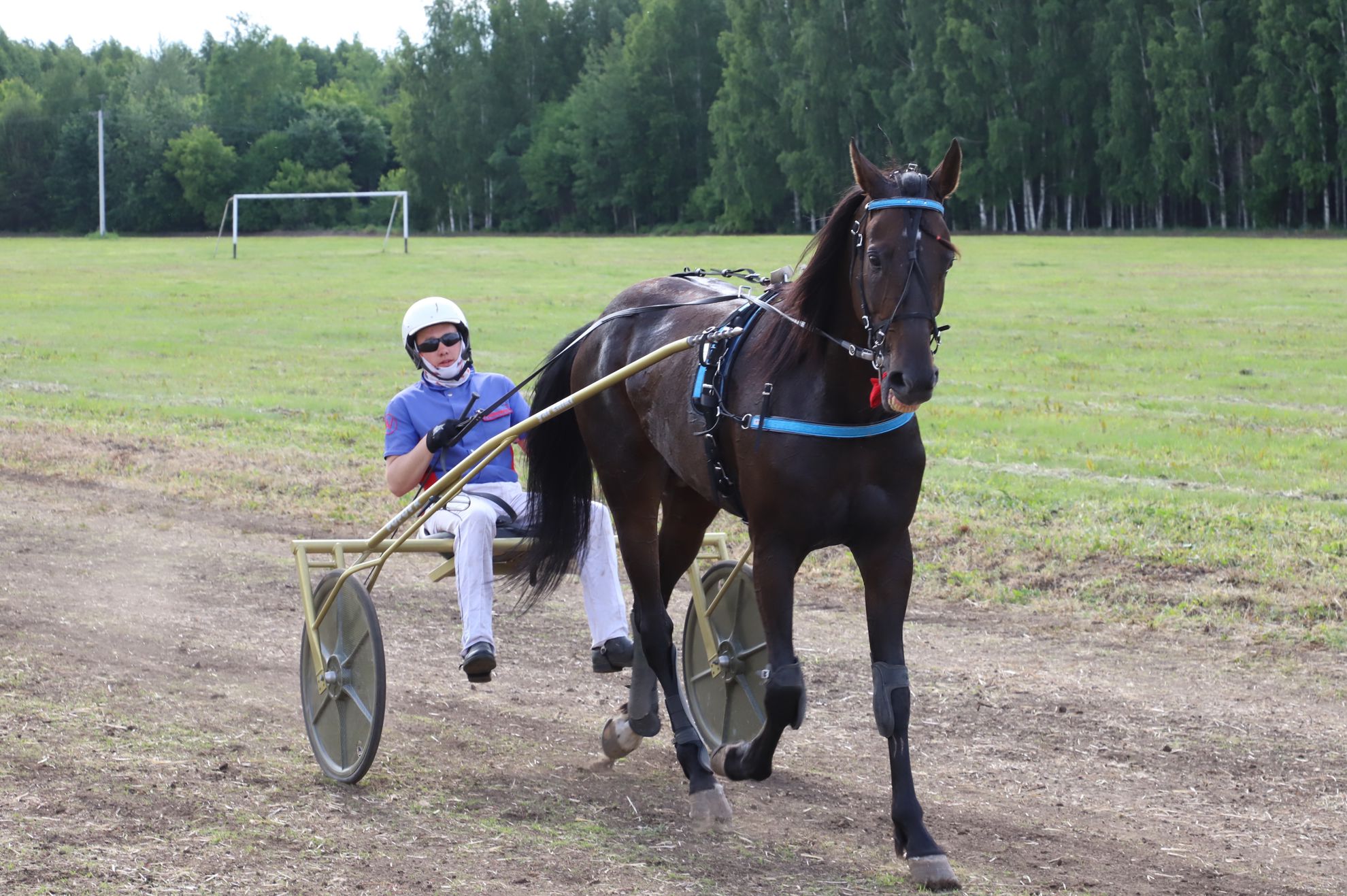 Акатуй (конноспортивный турнир)