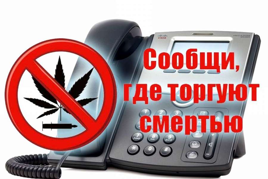 В период с 16 по 27 октября 2023 года на территории Красноармейского муниципального округа проводится 2 этап Общероссийской акции «Сообщи, где торгуют смертью»