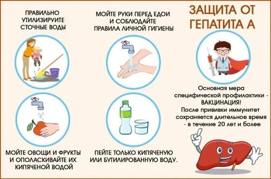 Гепатит А: профилактика