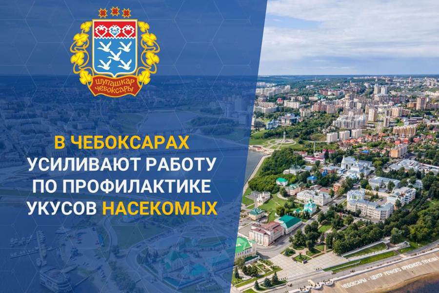 Администрация Чебоксар проводит акарицидную обработку на площади более 1 млн кв.метров