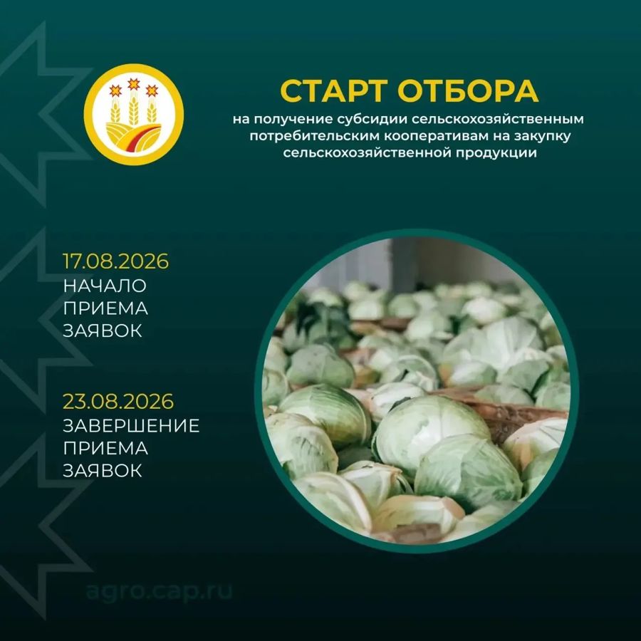 Сельхозкооперативы — время действовать