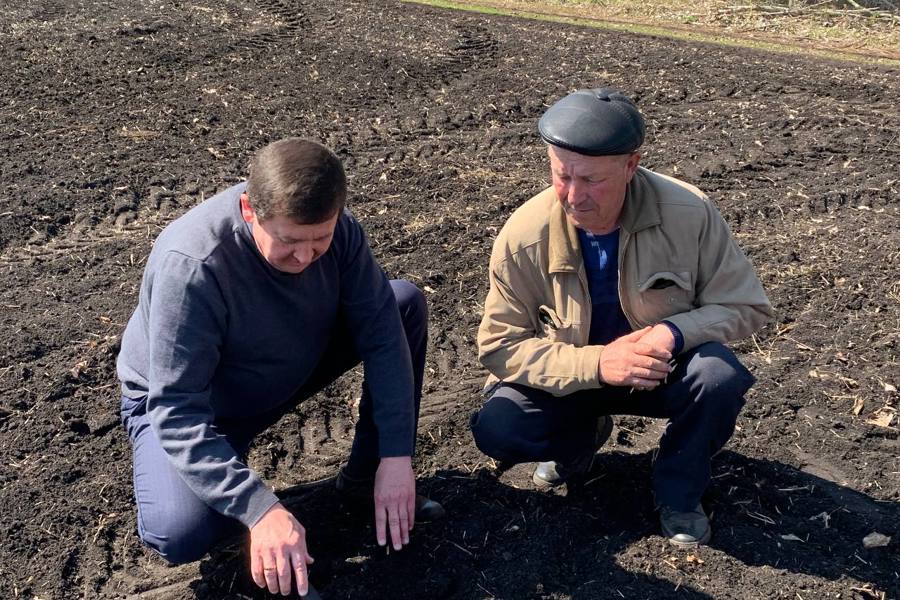 Аграрии Шемуршинского муниципального округа вышли на посев картофеля и сахарной свеклы