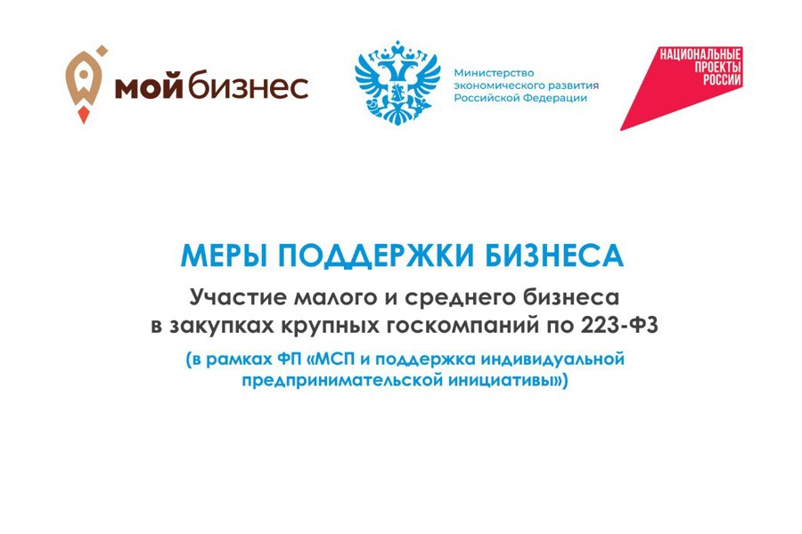 Участие малого и среднего бизнеса в закупках крупных госкомпаний по 223-ФЗ.  Меры поддержки бизнеса в рамках национального проекта «Эффективная и конкурентная экономика»