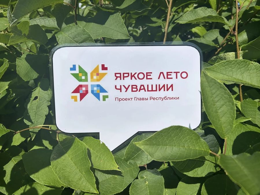 Дайджест предстоящих событий в рамках проекта Главы Чувашской Республики Олега Николаева «Яркое лето в Чувашии»