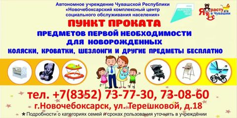 Пункт проката первой необходимости для новорожденных