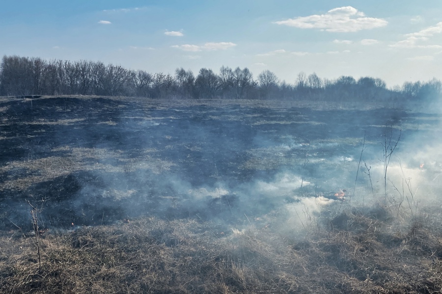 С 1 апреля в Чувашии вводится пожароопасный сезон