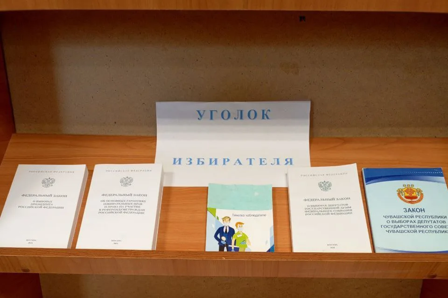 Открытие книжной экспозиции в Убеевской сельской библиотеке, посвящённой Дню молодого избирателя