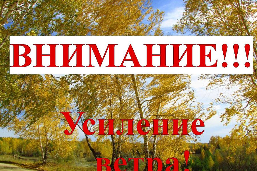 Из-за сильного ветра в Чувашии объявлен «желтый» уровень опасности