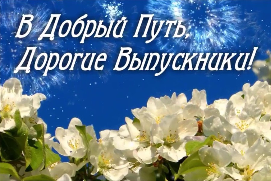 Поздравление главы Козловского муниципального округа Алексея Людкова с праздником Последнего звонка