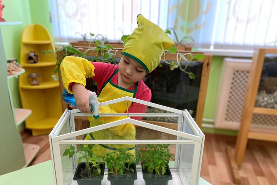 Мероприятия в детских садах города, приуроченные Году экологической культуры и бережного природопользования в детском саду