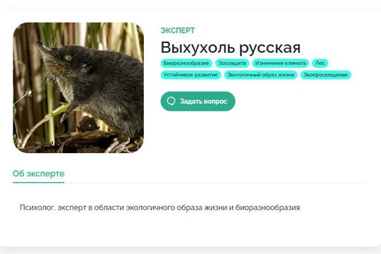 Выхухоль-психолог и нерпа-экопросветитель ответят на вопросы жителей Чувашии об экологии